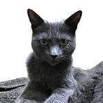 笹川(エンジニア)